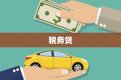 浑江税务贷